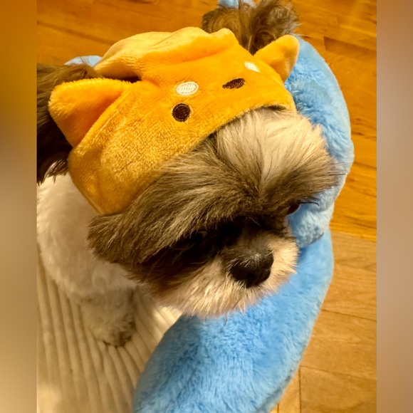 Miniso Other - Shiba Inu breed. Pet hat. Famous product Miniso. Cute hat for a pet.